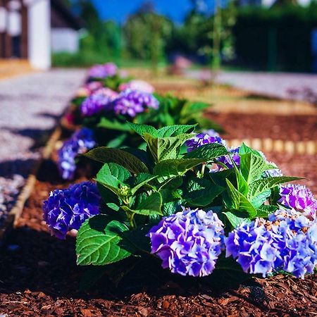 Apartamenty Wiatr I Woda Mikołajki Exteriér fotografie