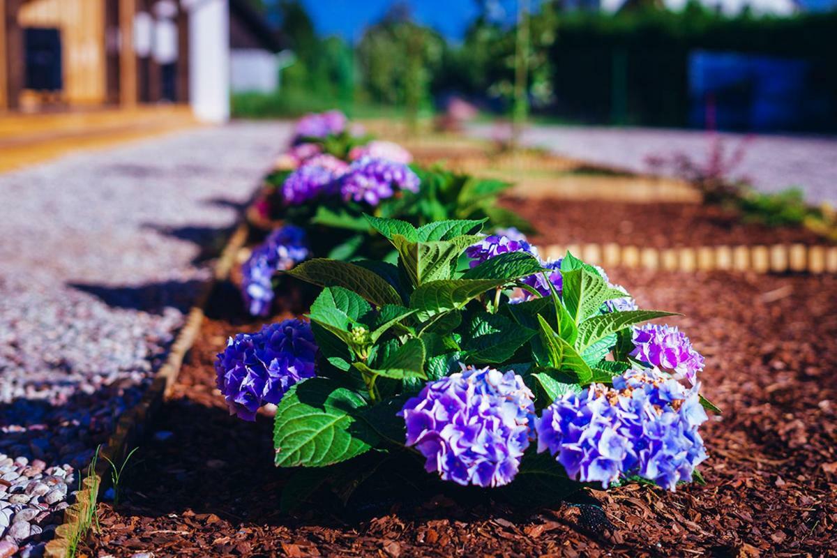 Apartamenty Wiatr I Woda Mikołajki Exteriér fotografie